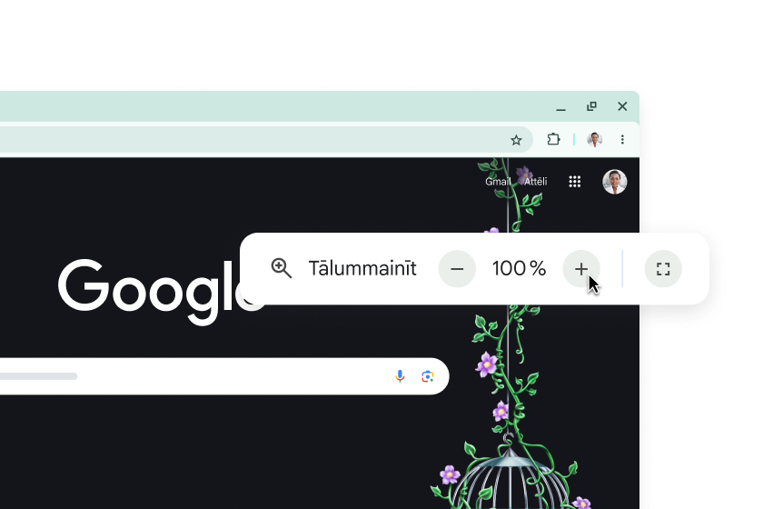 Google sākumlapa un uznirstošais elements, kurā tālummaiņai ir iestatīta vērtība 100%.